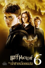 Harry Potter 6 แฮร์รี่ พอตเตอร์ กับเจ้าชายเลือดผสม