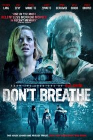 ลมหายใจสั่งตาย Don’t Breathe (2016)