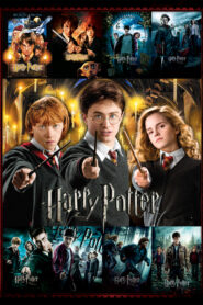 Harry Potter แฮร์รี่ พอตเตอร์ HD 1-8 รวมทุกภาค