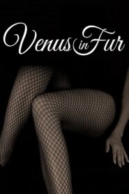 Venus in Fur วุ่นนัก รักผู้หญิงร้าย