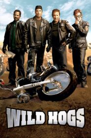 4เก๋าซิ่งลืมแก่ Wild Hogs (2007)