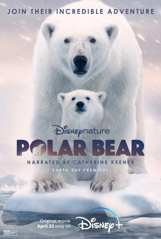 Polar Bear (2022) หมีขั้วโลก หรือ หมีขาว แห่งขั้วโลกนักล่าแห่งเมืองหิมะ