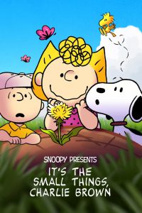 Snoopy Presents It’s the Small Things Charlie Brown