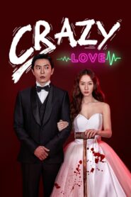 Crazy Love (2022) พากย์ไทย