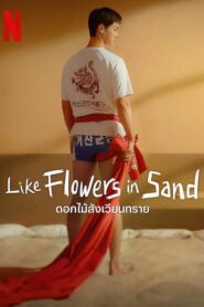 Like Flowers in Sand (2023) ดอกไม้สังเวียนทราย