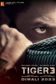 Tiger 3 (2024) เรียกข้าว่าเสือ 3