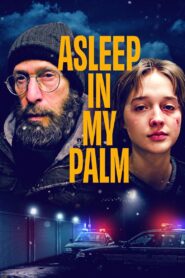 Asleep in My Palm (2024)